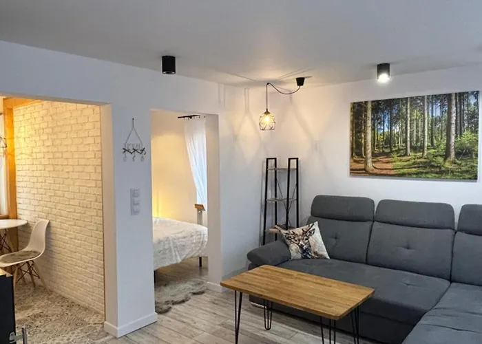 Klimatyczny Z Kominkiem Daire